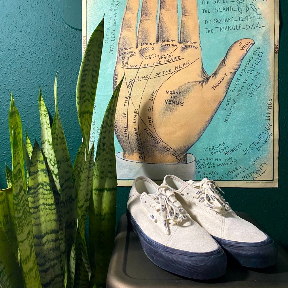 Vans Diamo Ni size 7